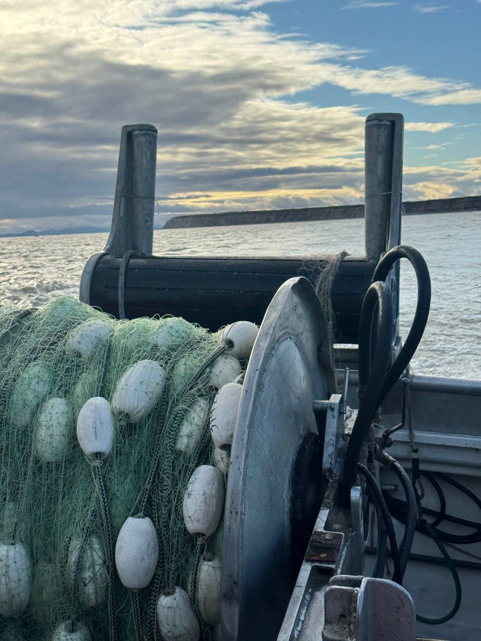 Green gillnet on the reel on deck