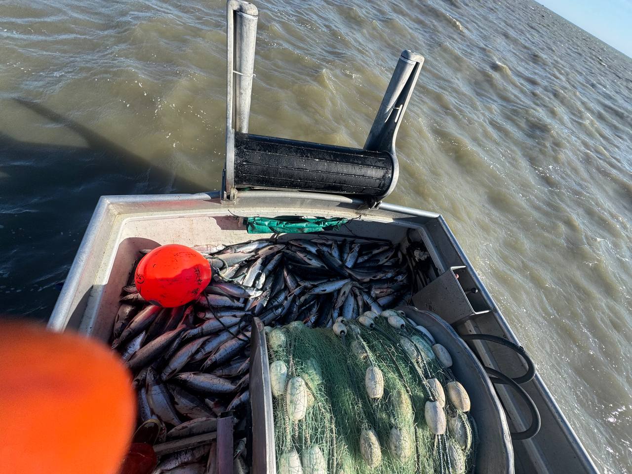 Deck fish bin filled with sockeye next to nets