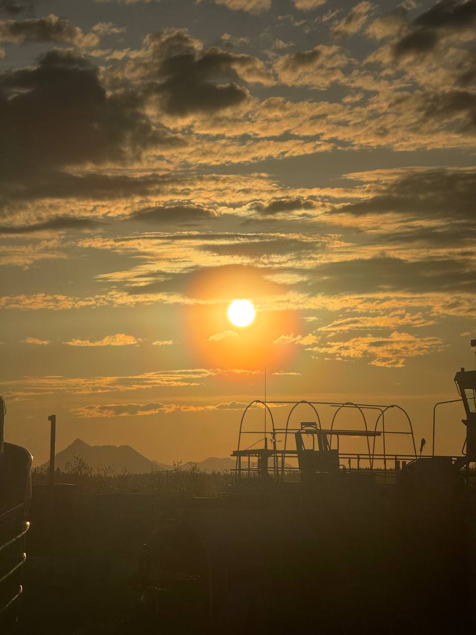 Golden sunset reflecting on the harbor yard